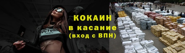 стаф Козельск