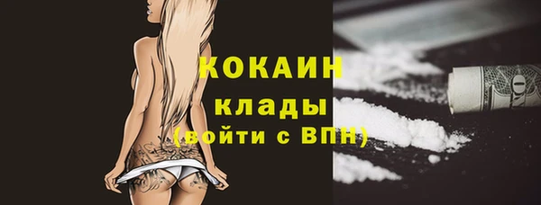стаф Козельск