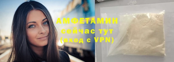 гашик Козловка