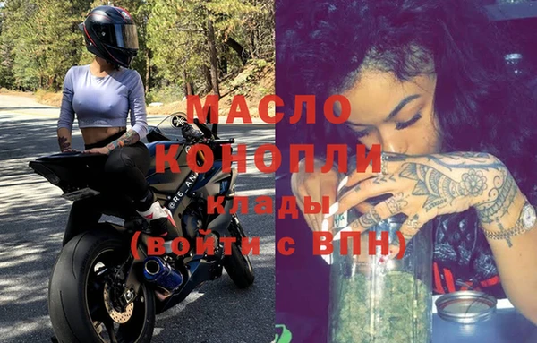 гашик Козловка