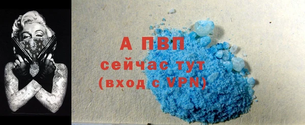 гашик Козловка