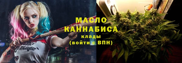 гашик Козловка