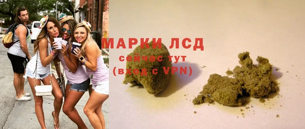 мяу мяу мука Коряжма