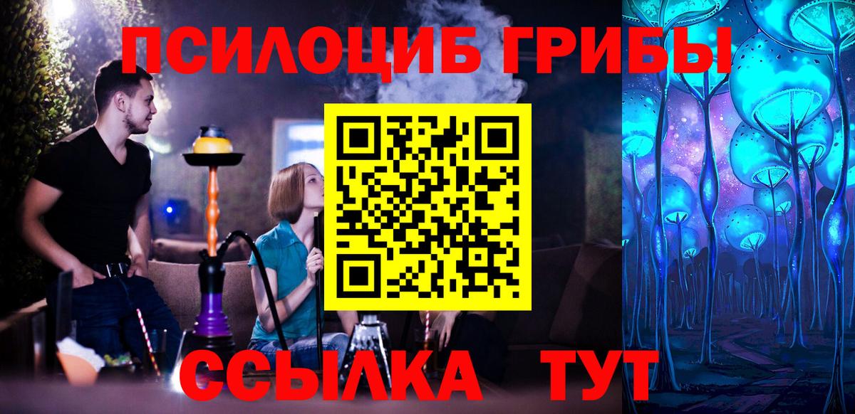 Галлюциногенные грибы Psilocybine cubensis Нижневартовск