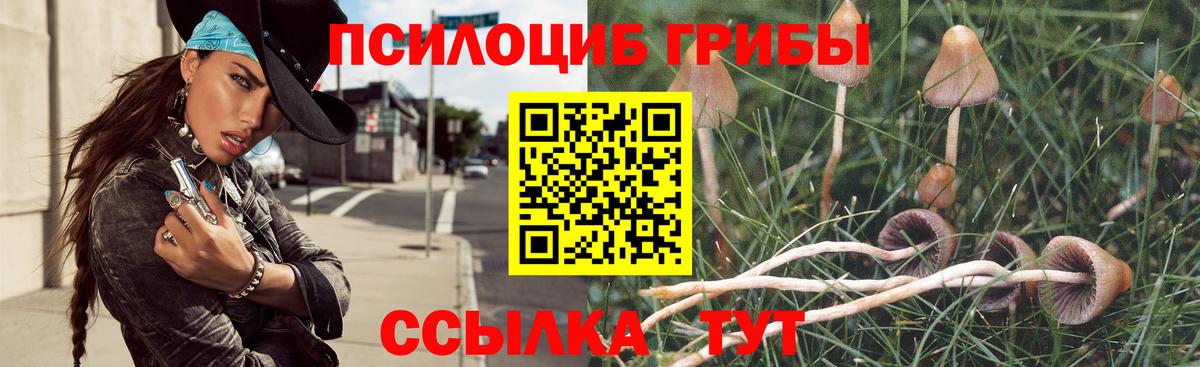 Псилоцибиновые грибы мухоморы  Нижневартовск  Псилоцибиновые грибы мицелий 