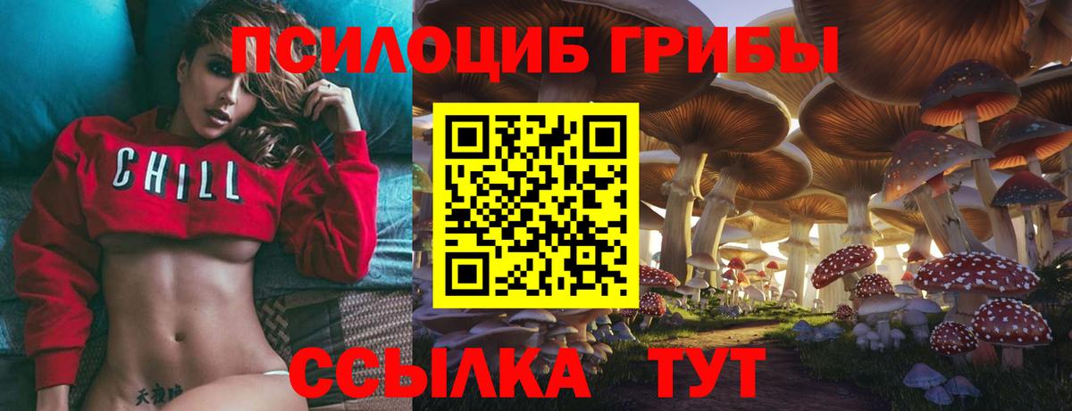 Галлюциногенные грибы Psilocybe  Вход с VPN  Галлюциногенные грибы Cubensis  где найти наркотики  Нижневартовск 